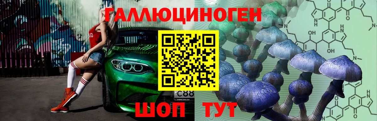 Кулебаки  Псилоцибиновые грибы MAGIC MUSHROOMS  Вход с VPN 